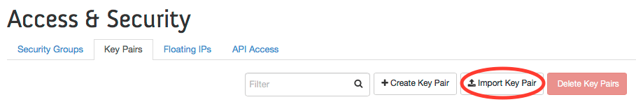 under the main window tabs, the Import Key Pair button is circled