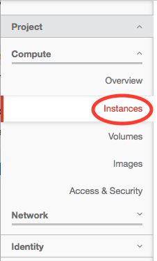 left menu with Instances circled