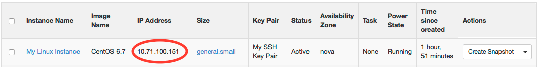 example of running instances with the IP Address circled