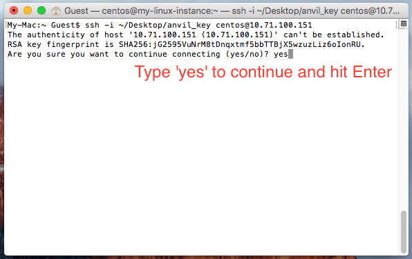 prompting to type 'yes' to continue connecting