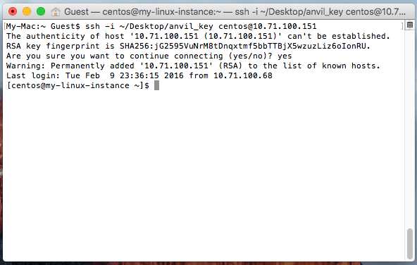 example of successsful log in