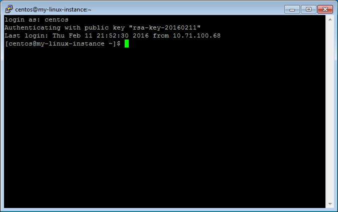 PuTTY terminal