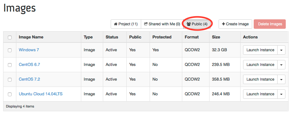 view of Images with the Public button circled