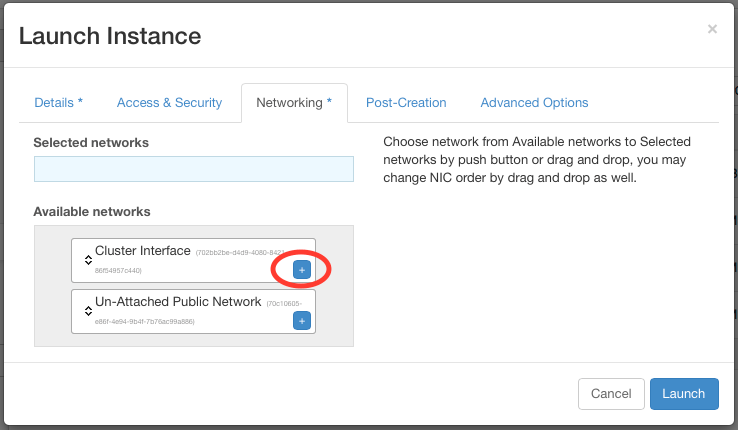 Launch Instance Networking window with the + on Cluster Interface circled