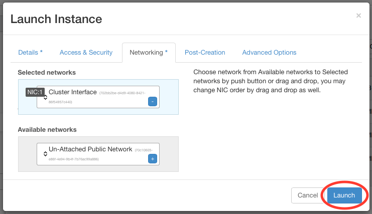 Launch Instance Networking box with Launch button circled