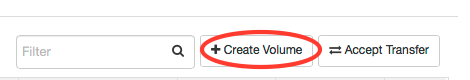 Create Volume button circled