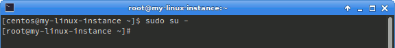 view of root access in terminal
