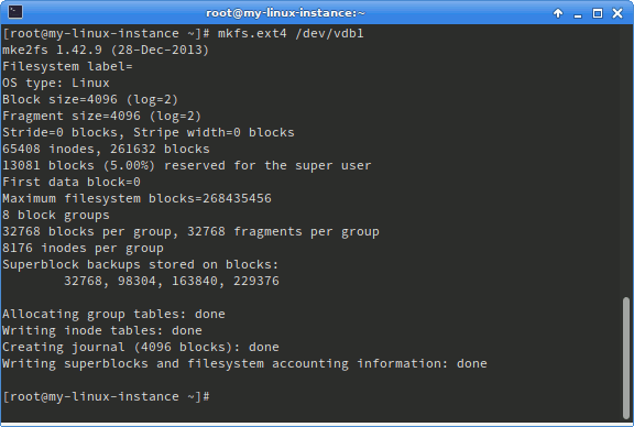 example of output when formatting partition with ext4
