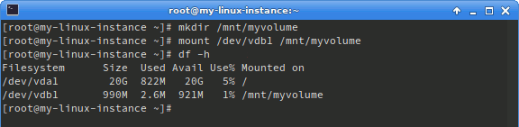 example showing new mounted empty volume