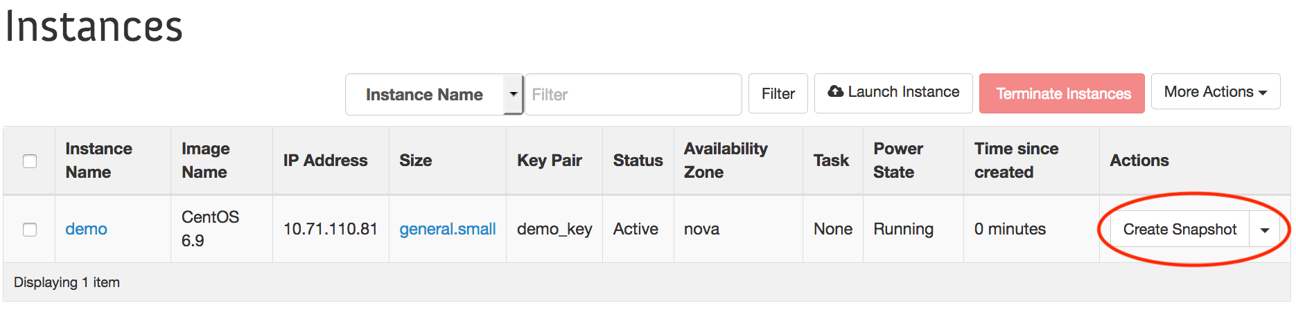Instances window with Create Snapshot button circled