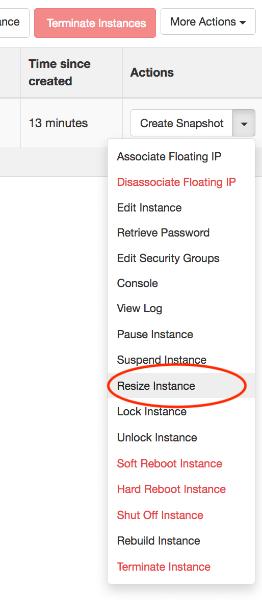 Actions dropdown with Resize Instance circled
