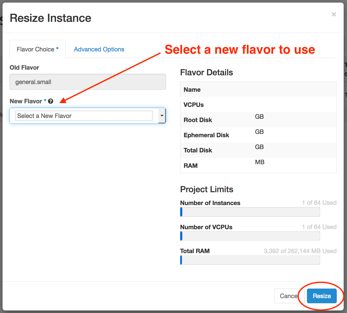 Resize Instance window with prompting to 'select a new flavor to use' for the New Flavor dropdown, with the Resize button circled