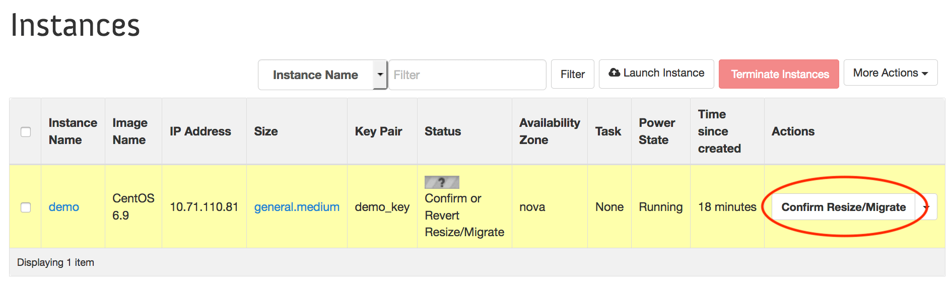 Instances example with Confirm Resize/Migrate circled under Actions