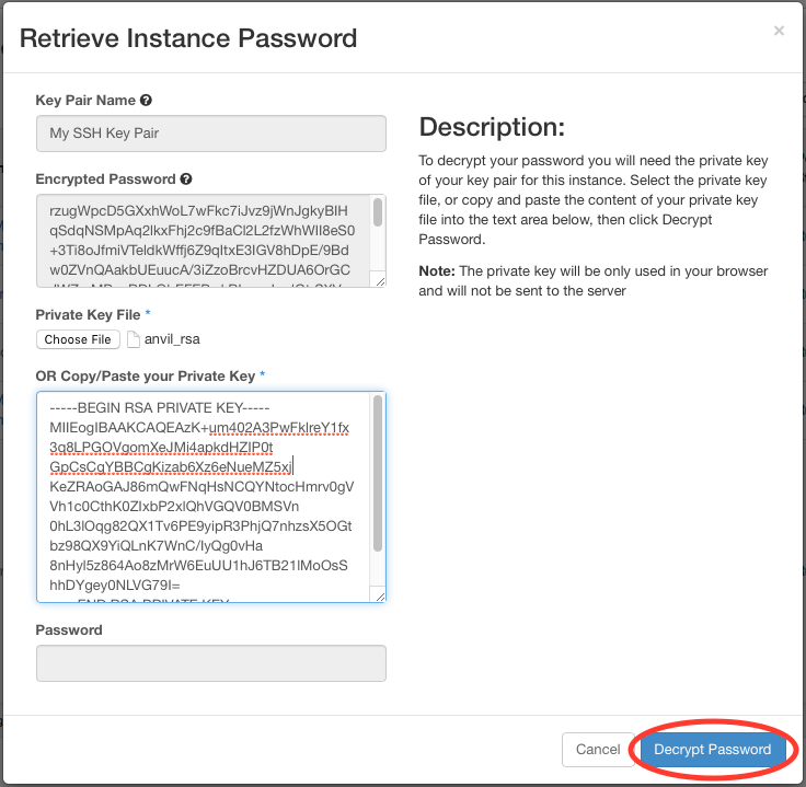 Retrieve Instance Password window with Decrypt Password button circled