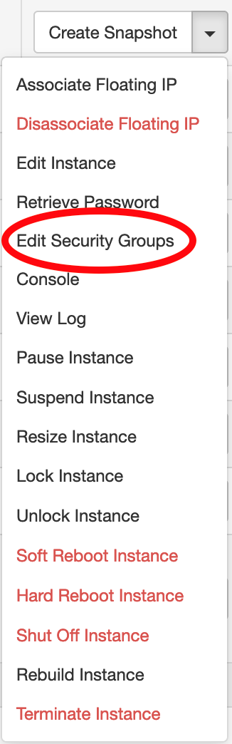 Create Snapshot dropdown with Edit Security Groups circled