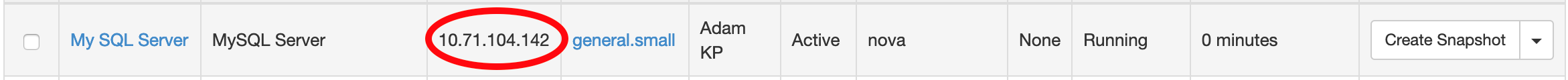 Instances page with fourth column (IP Address) circled