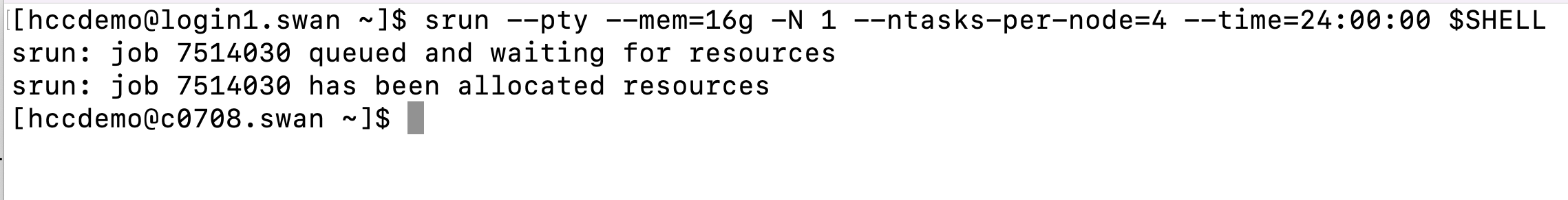 terminal message that job has been queued and allocated resources