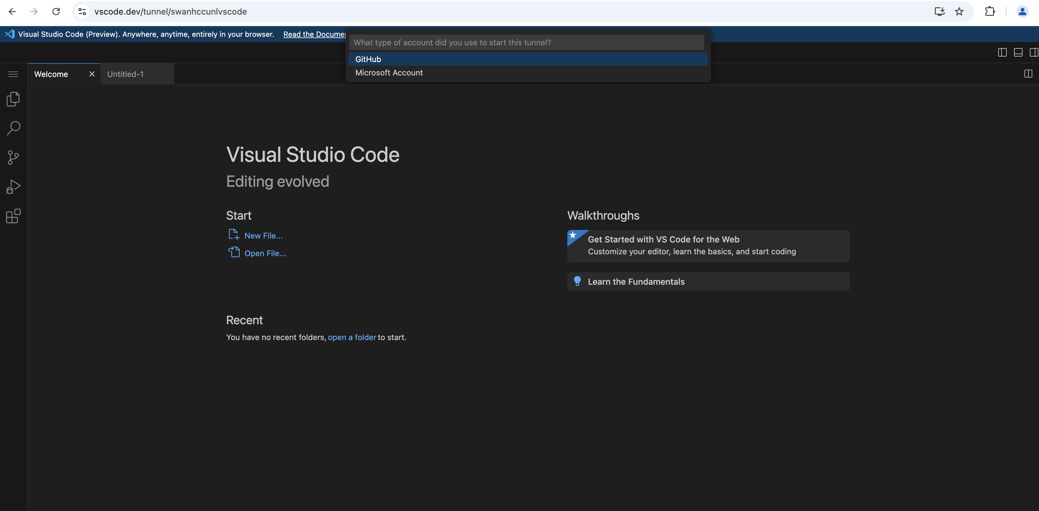 VS Code in web browser