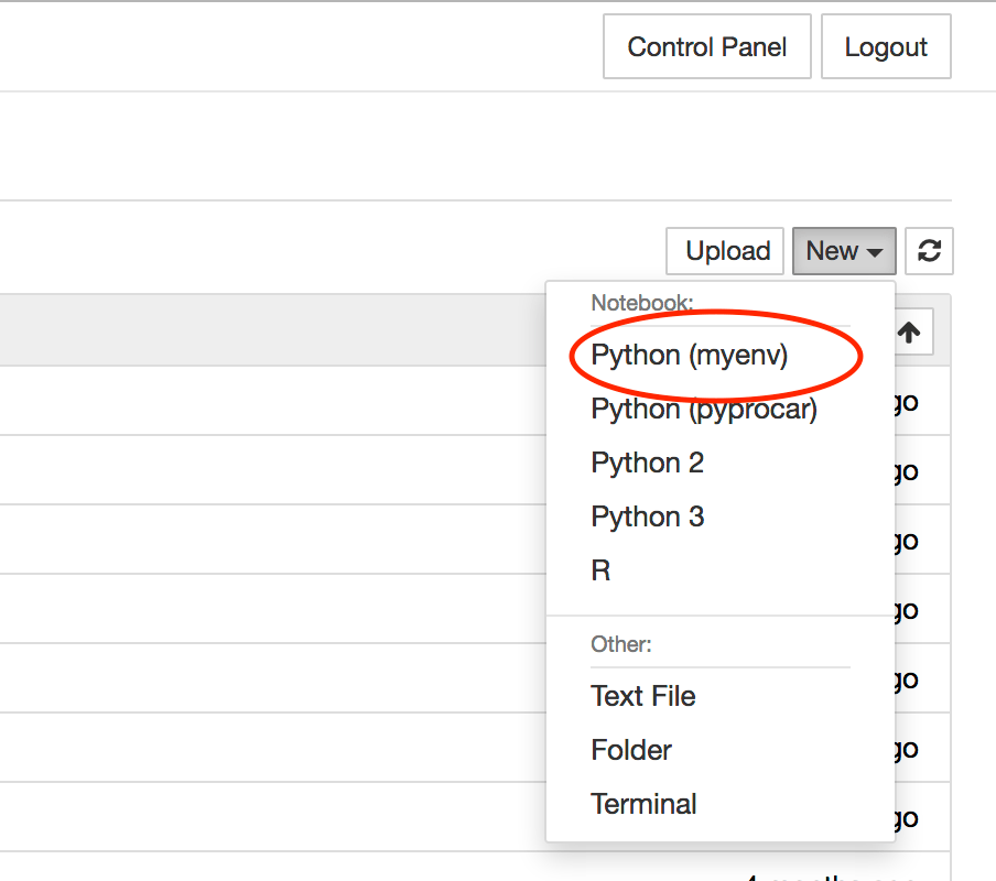 in the New dropdown menu, the Python (myenv) option is circled
