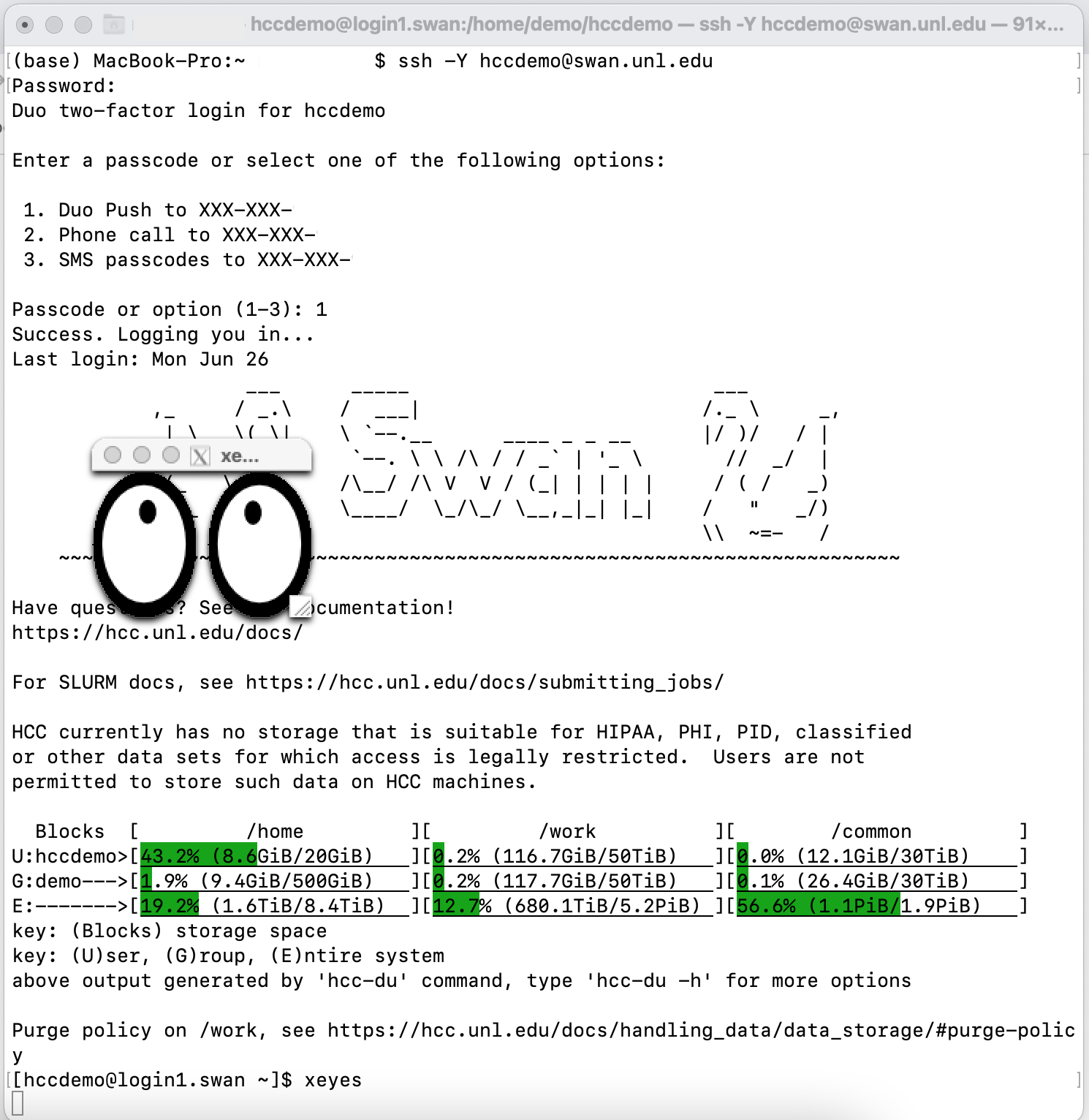 example of xeyes on the Swan login screen