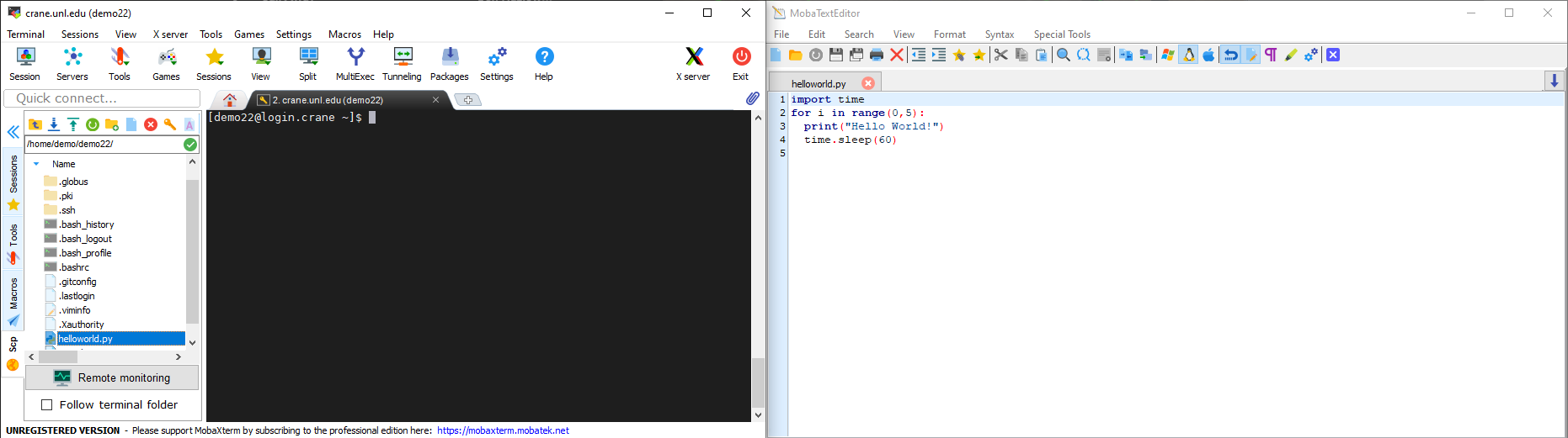 file in the left toolbar selected, with file editor open on the right