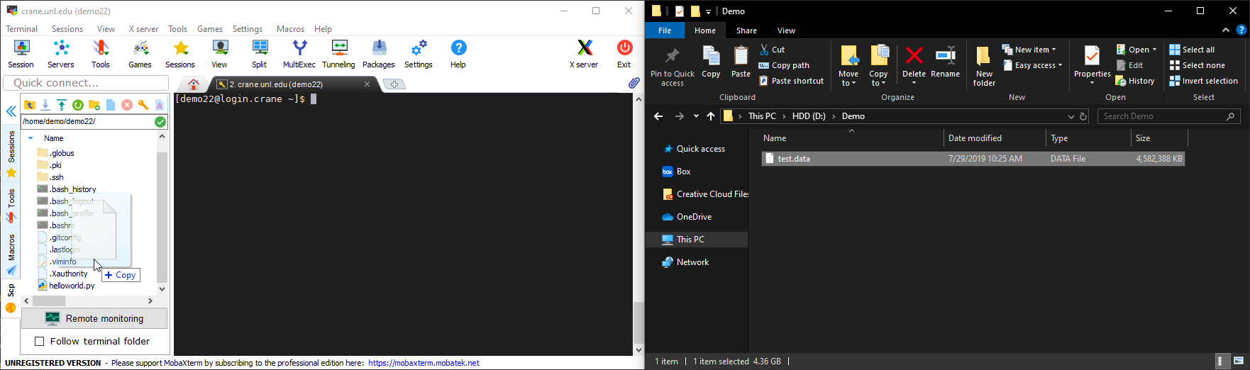two windows with MobaXterm and local storage side by side