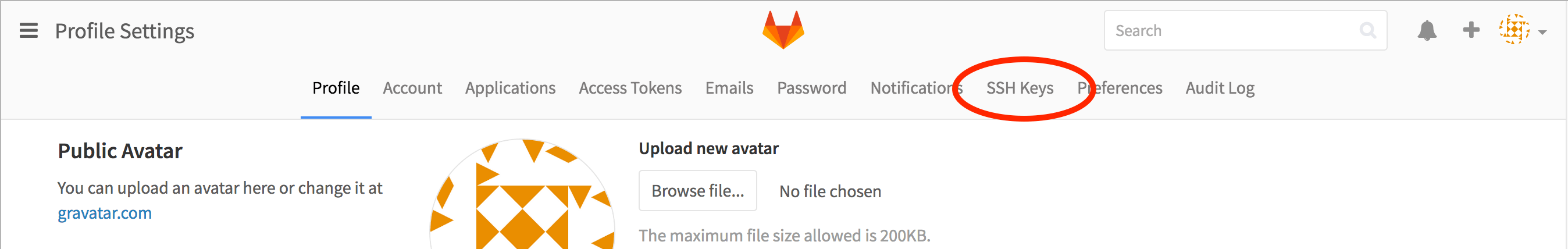 Profile Settings window with SSH Keys circled