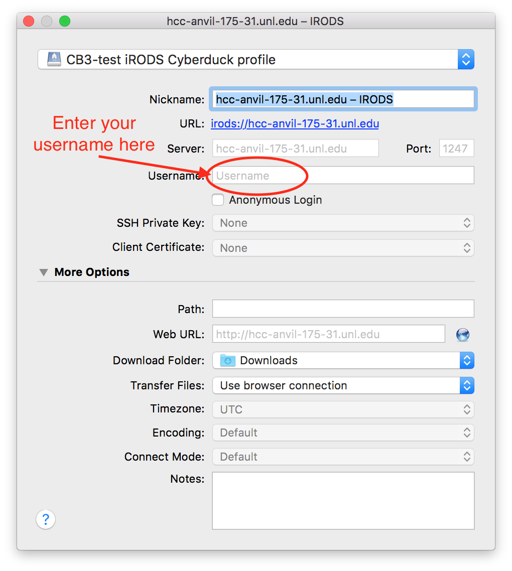 Cyberduck window with prompting to enter username