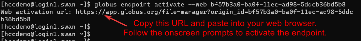 terminal with prompting to copy the Web activation url and paste into your web browser. Prompting to follow the onscreen prompts to activate the endpoint