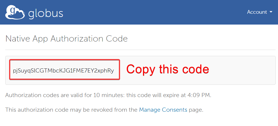 Globus Native App Authorization Code window with prompting to copy the code