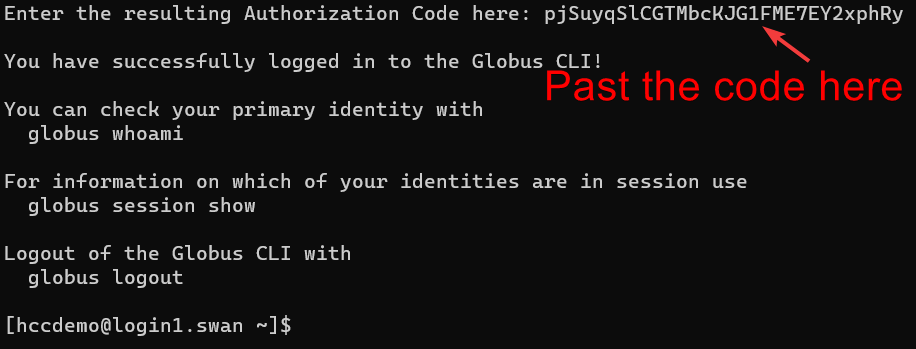 terminal with prompting to paste the code in the Enter the resulting Authorization Code here: section