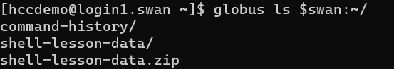 terminal with command to list files in the home directory on the remote endpoint