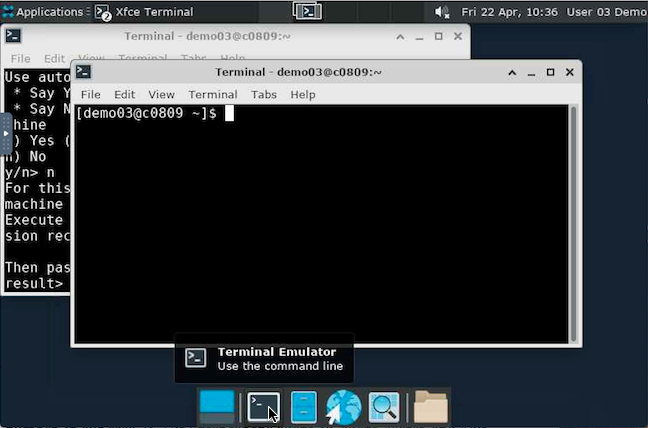 virtual desktop with Terminal Emulator selected and two open terminals