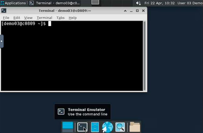 virtual desktop with Terminal Emulator selected