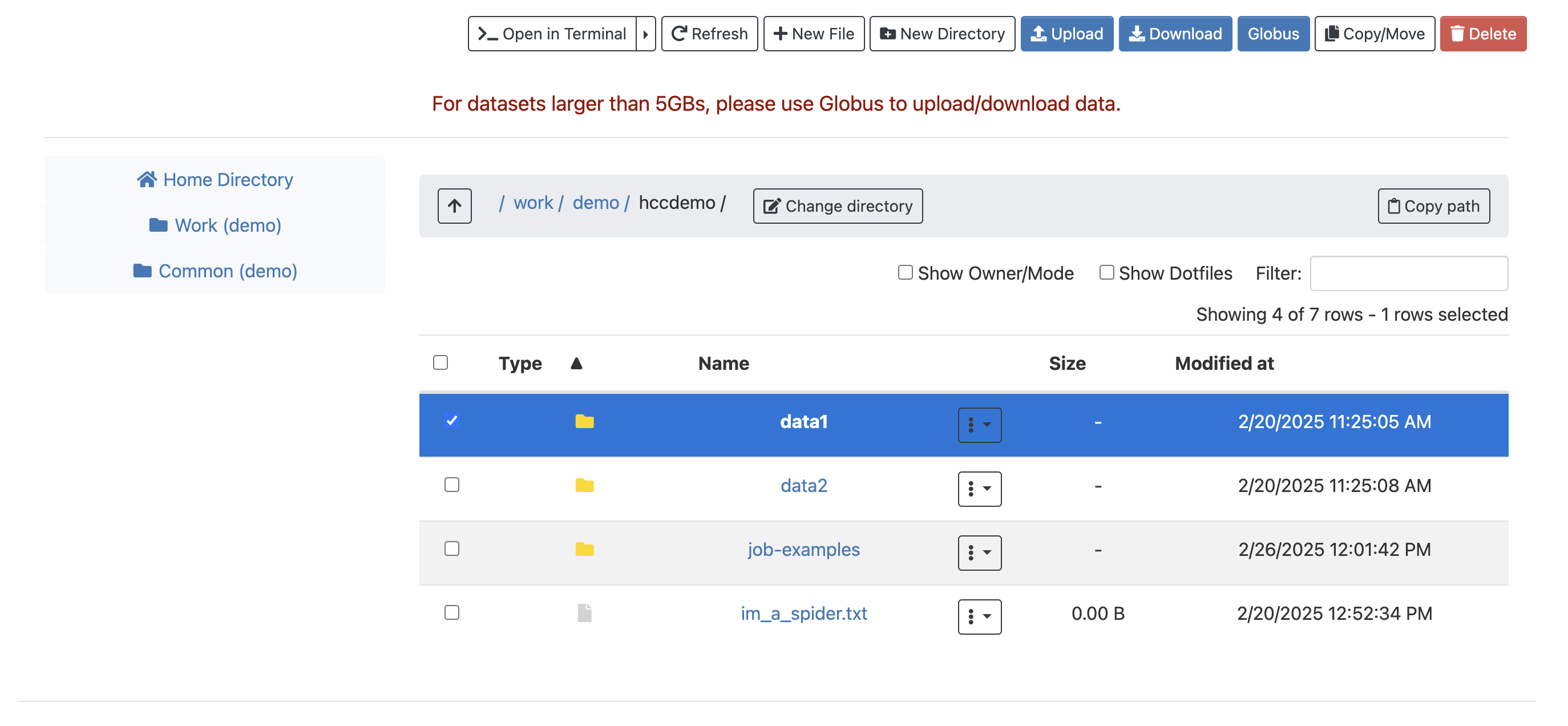 View of File Explorer page