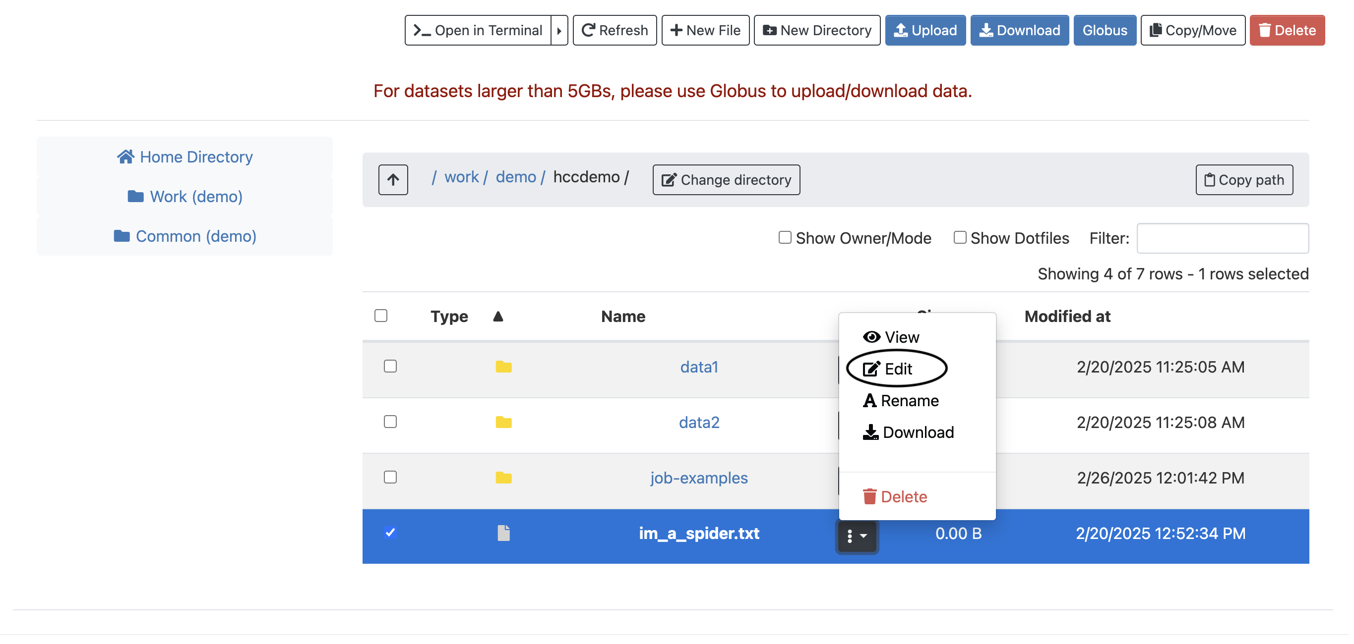View of the menu available when clicking the three dots next to a file, with the edit button circled