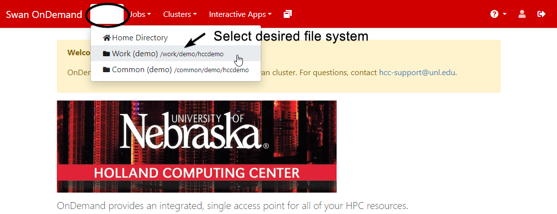 Choosing the file system to use from the 'Files' drop-down menu