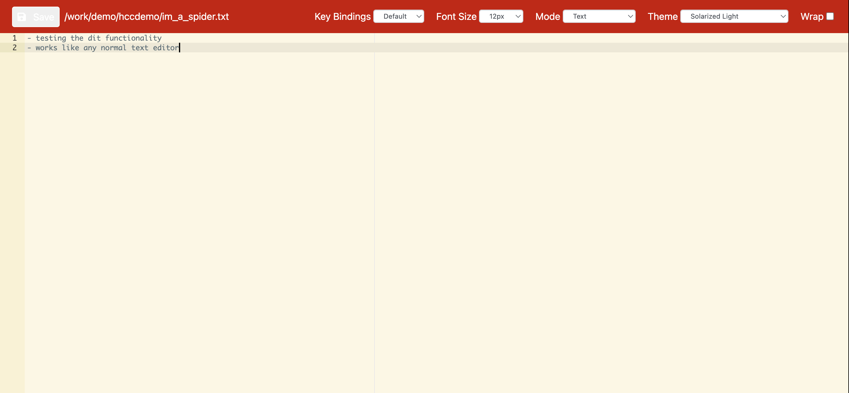 View of the text editor that opens when editing a file