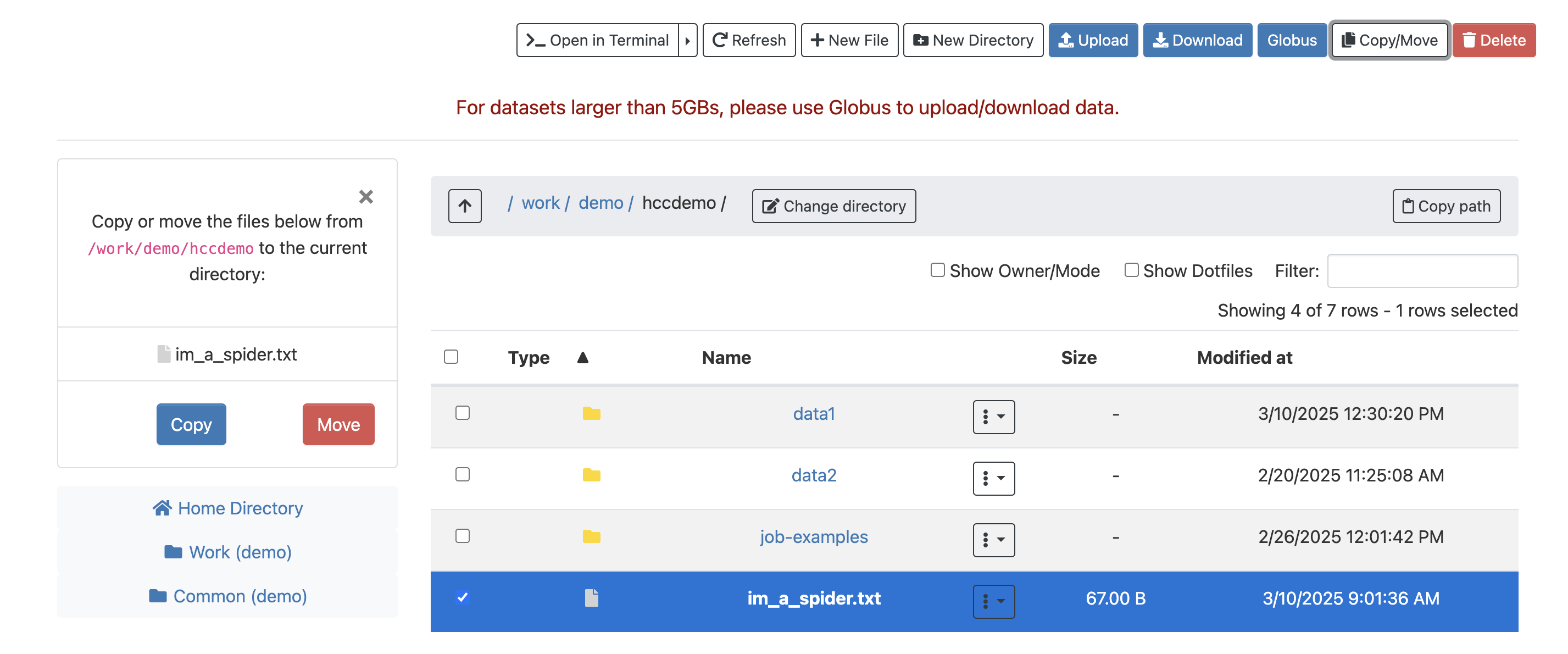 The Copy/Move button is highlighted with an option to copy or move a file in the directory