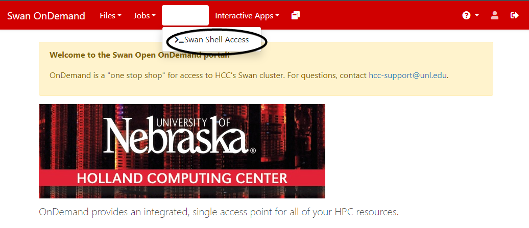 view after selecting the Clusters dropdown, with Swan Shell Access circled
