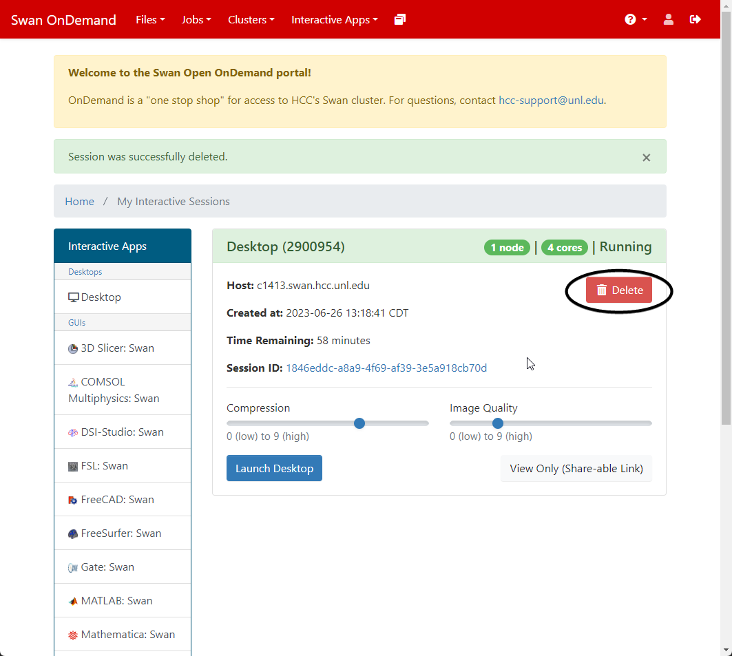 A view of the Interactive Sessions panel, with the Delete button next to the job circled