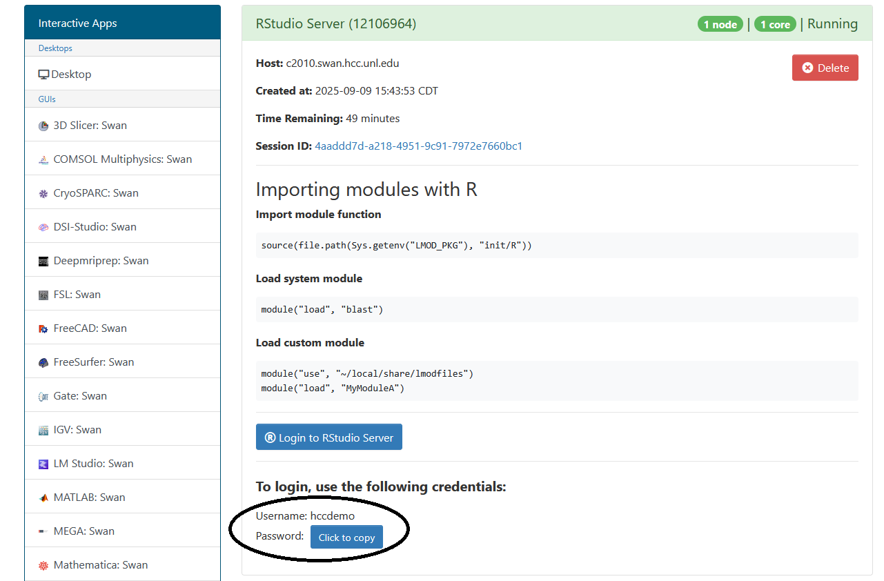 RStudio Server interactive app screen with the login prompt at the bottom circled
