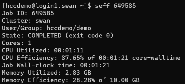 the terminal screen after using seff for a certain job, showing data about the job