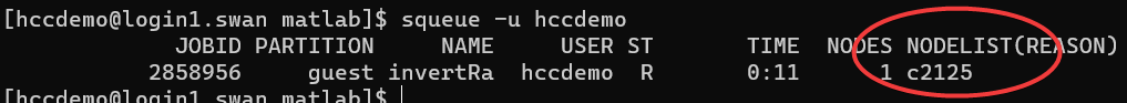 terminal showing the circled data in the NODELIST column